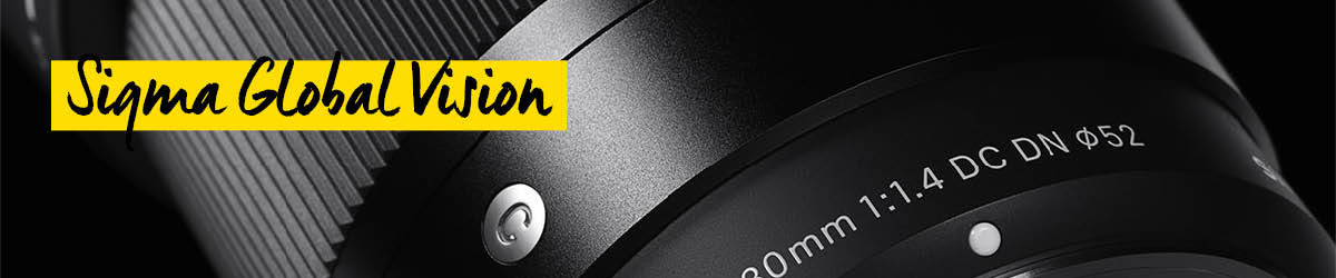 SIGMA Global Vision