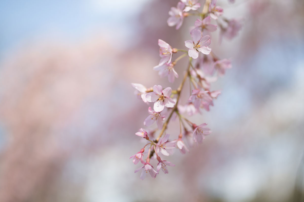 Beispielbild Sigma Art 35mm