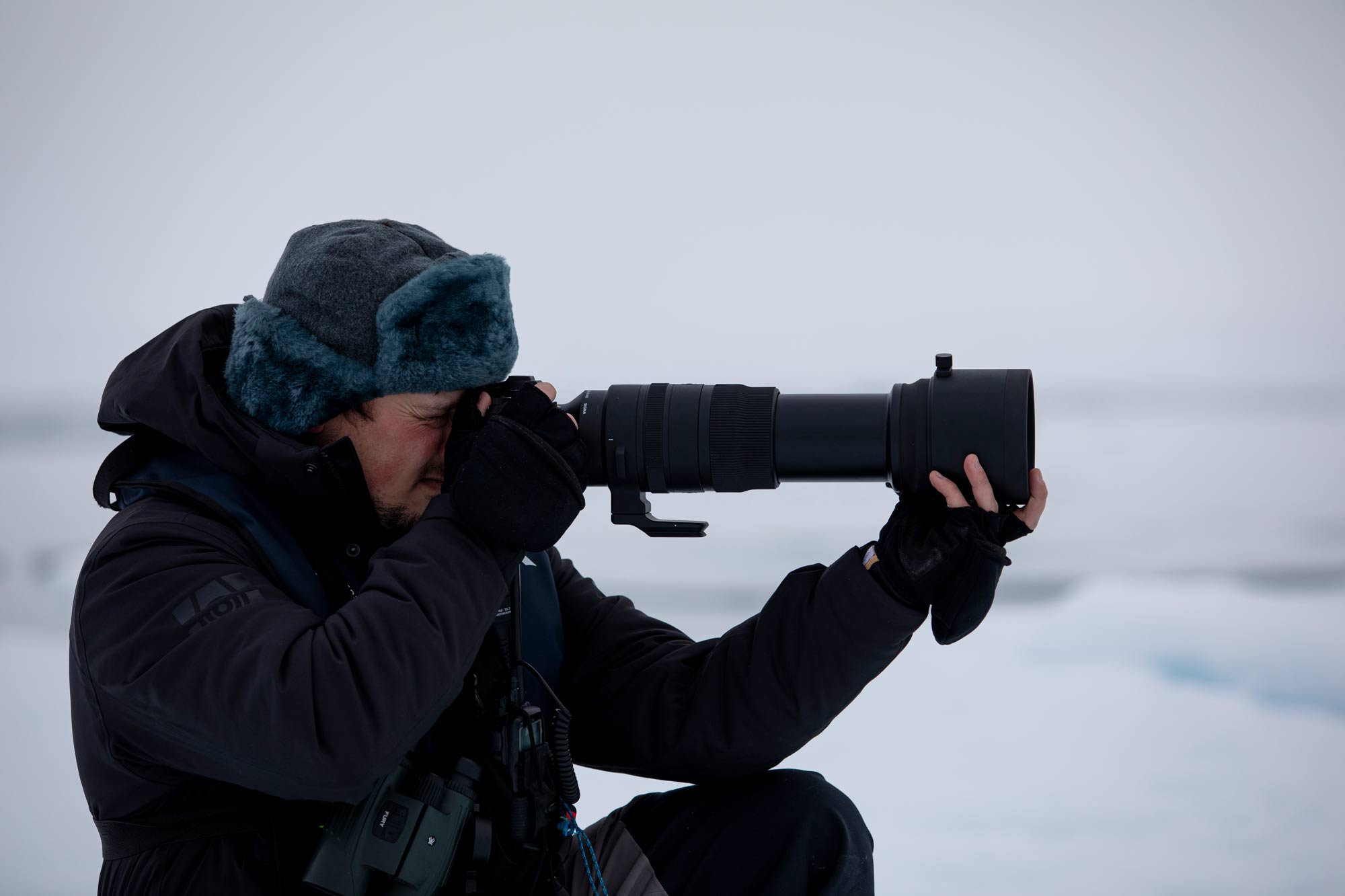 Sigma 150-600mm Michael Ginzberg