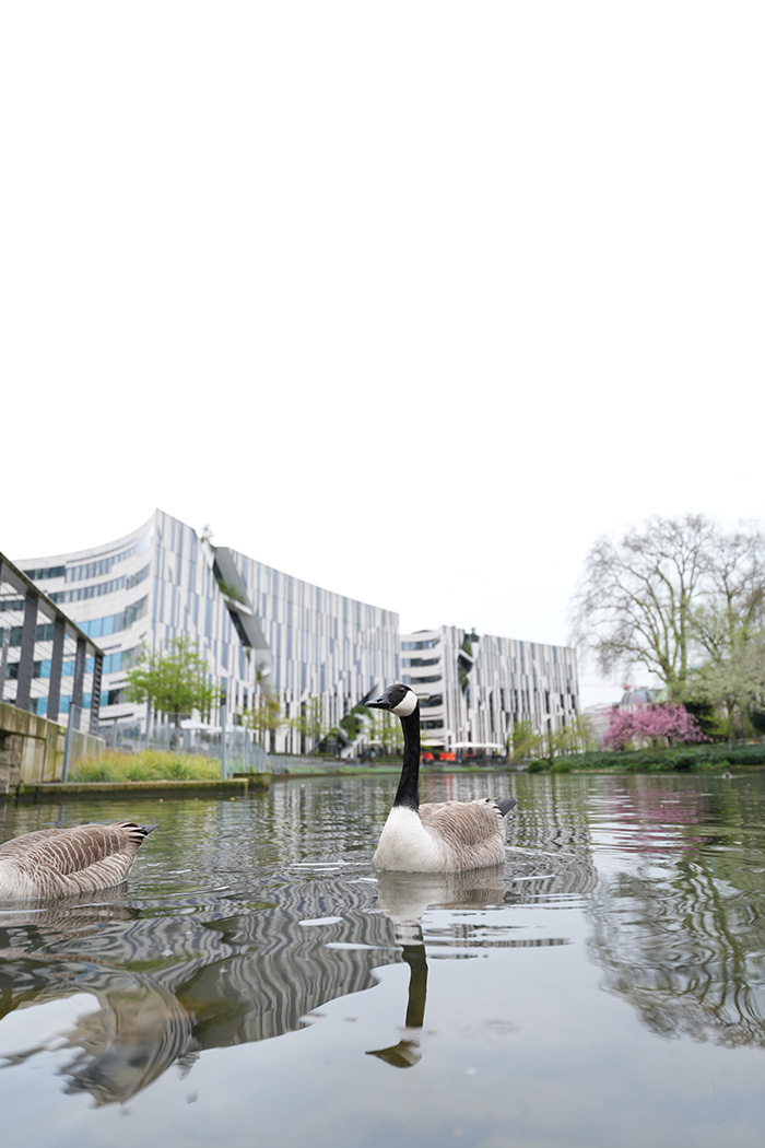 Sony 16-25mm Sample 1