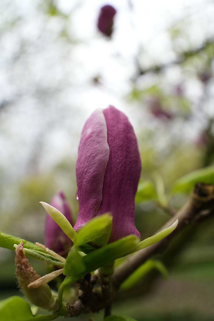 Sony 16-25mm Sample 3