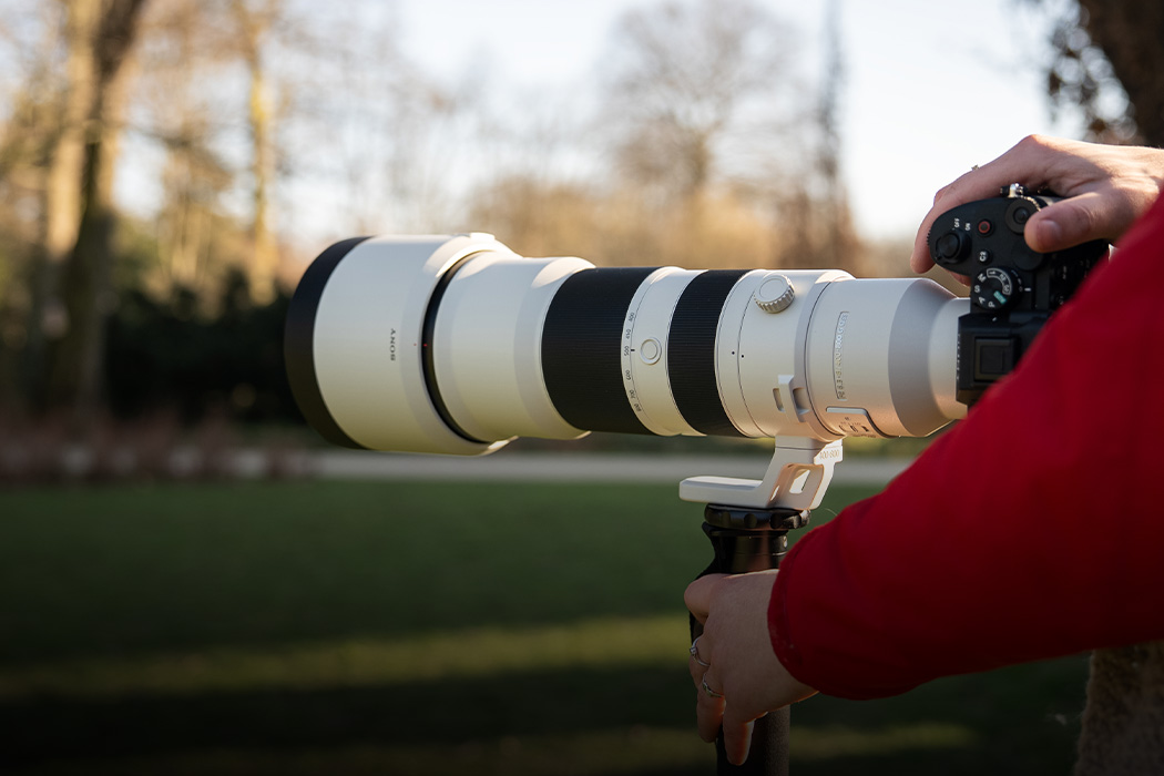 Neue Möglichkeiten für Sport und Wildlife: Sony 400-800mm G OSS
