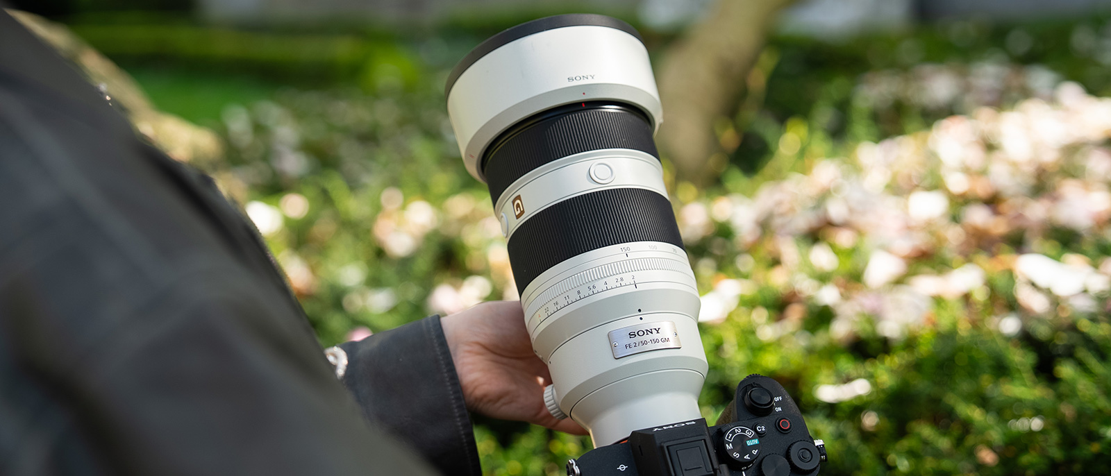 Sony 50-150mm f2 GM Close Up