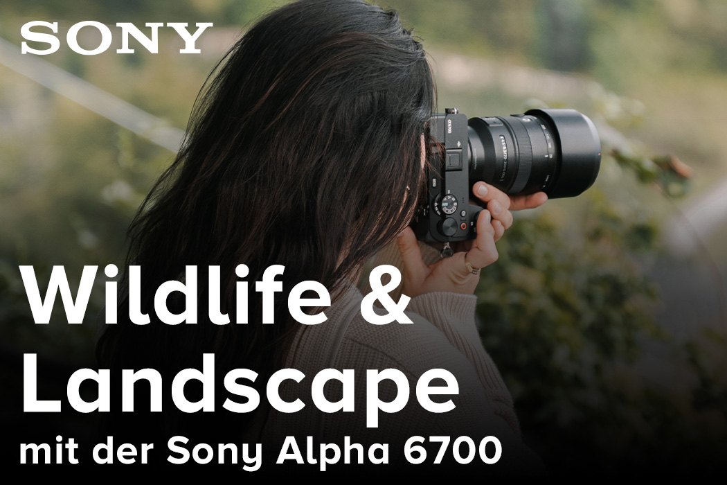 Sony Alpha 6700 im Landschafts und Wildlife Check