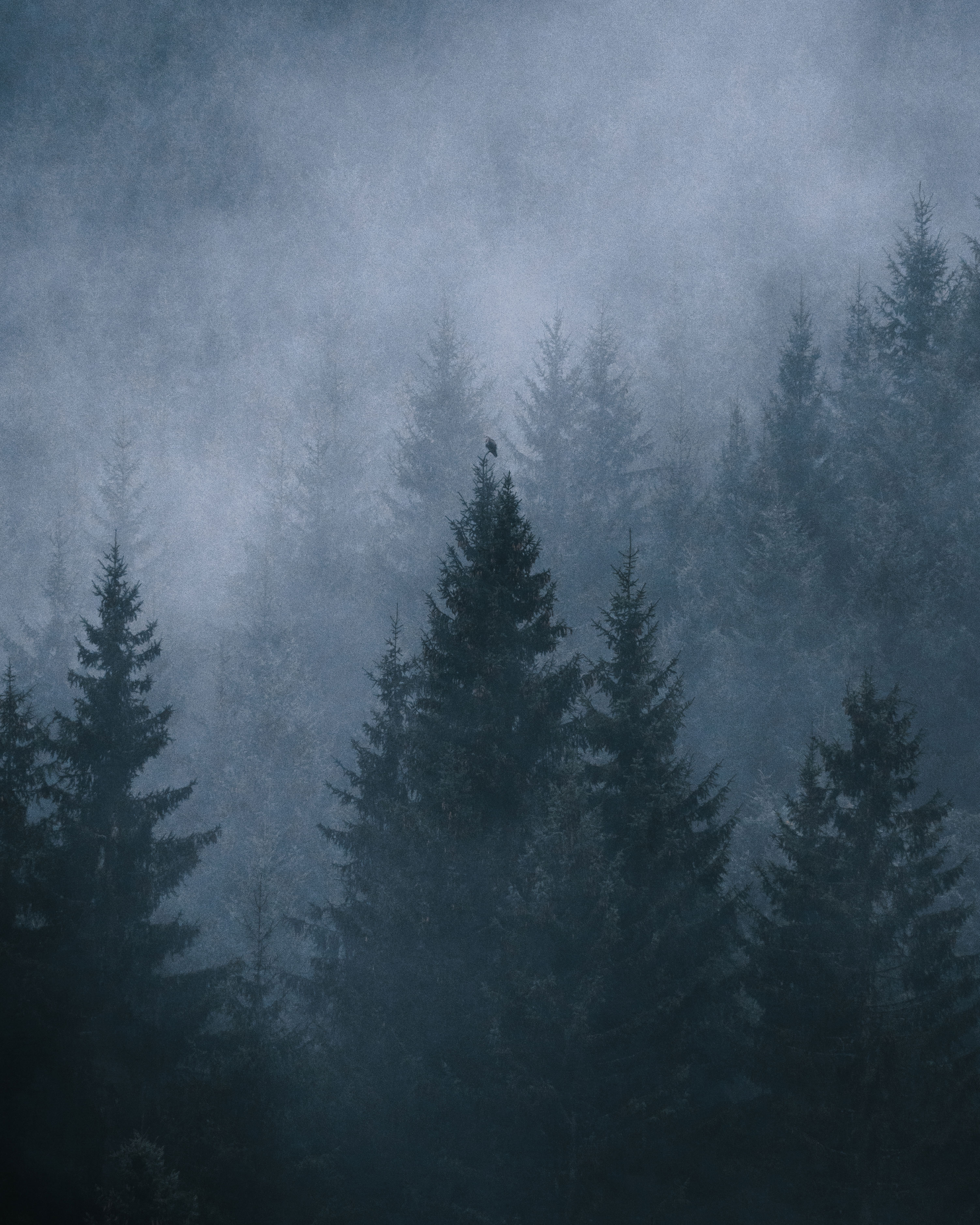 Sony Alpha 6700 aufgenommene Naturaufnahme mit dem SEL70-350mm