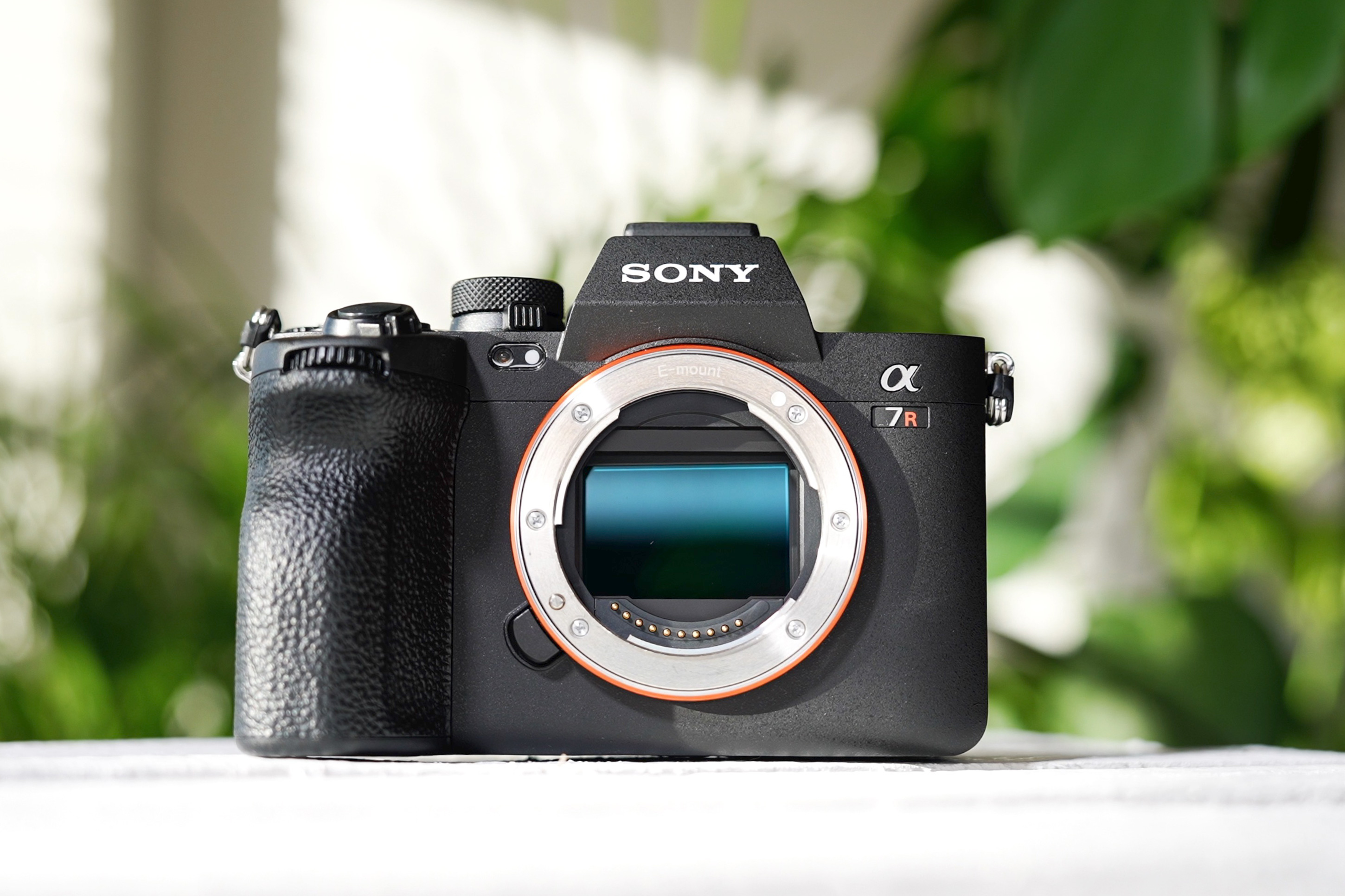 Sony Alpha 7 IV Sensor Detailaufnahme