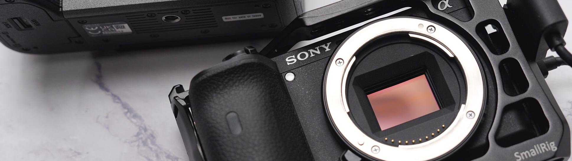 Sony Alpha a6600 Sensor - Foto Koch