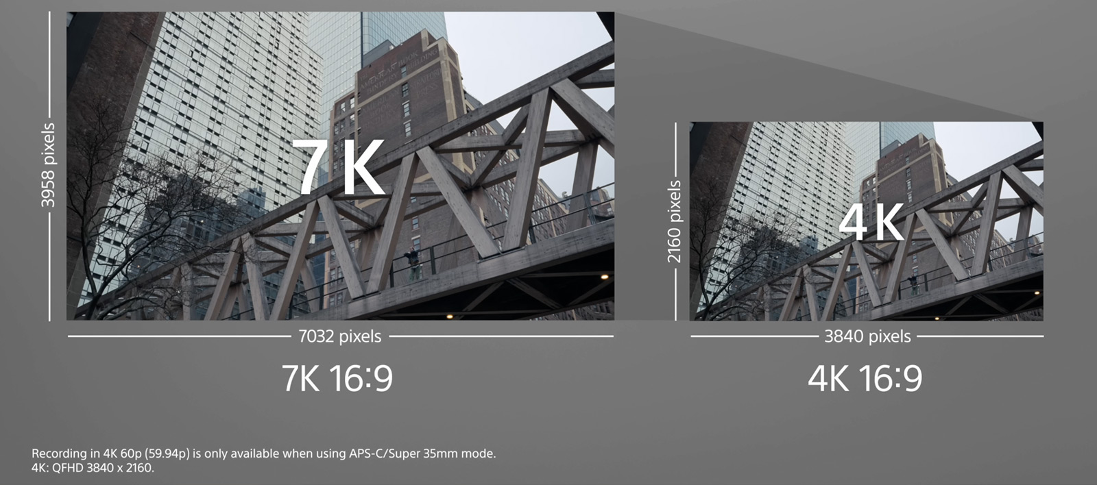 Sony Alpha FX2 7K Oversampling - Foto Koch Blog