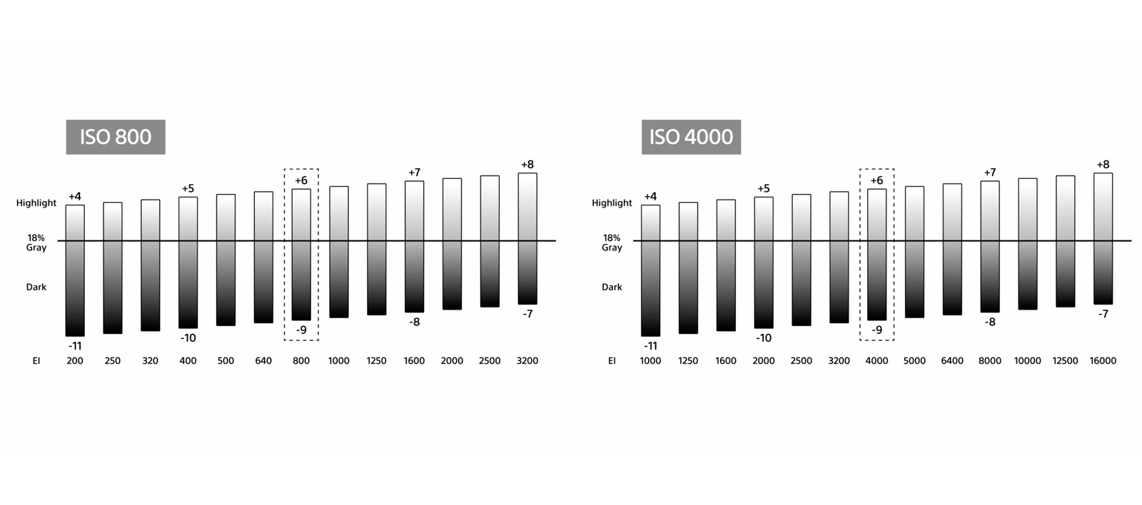 Sony Alpha FX2 Dual Base ISO - Foto Koch Blog