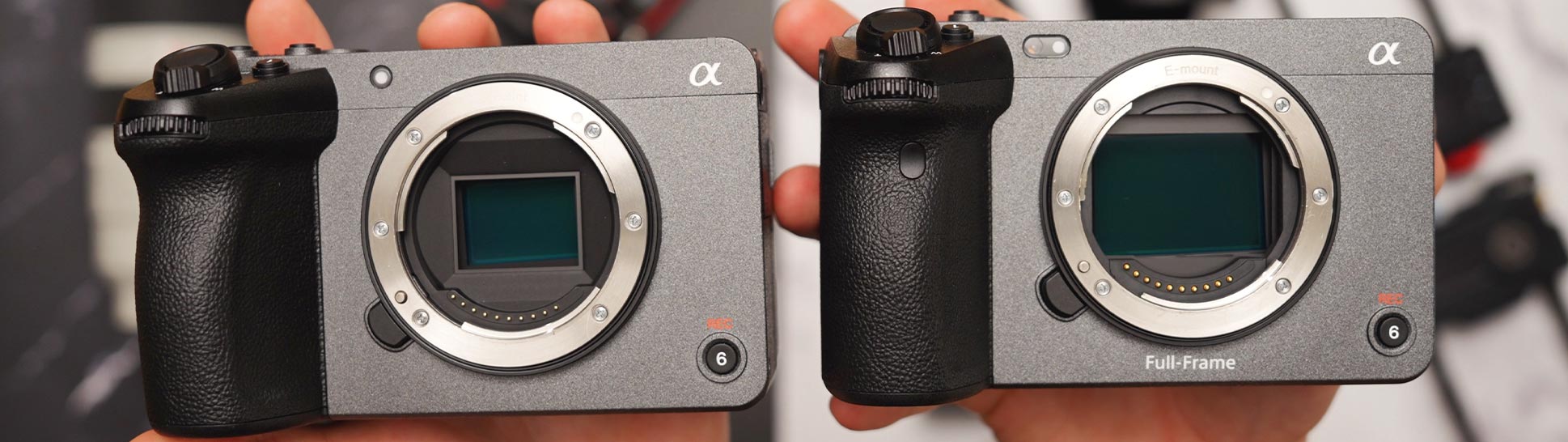 Sony Alpha FX 30 vs. FX3 Sensoren - Foto Koch