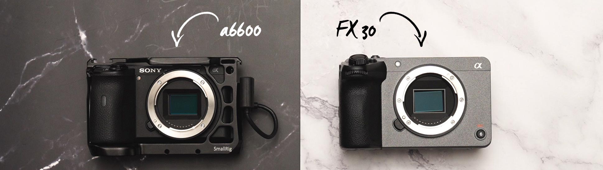 Sony Alpha FX30 vs. a6600 - Foto Koch