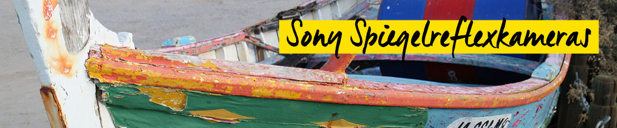 Sony Alpha Spiegelreflexkameras