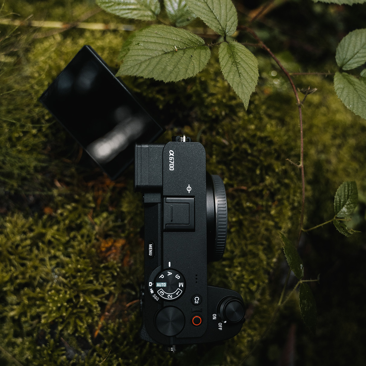 Schwenk und Touchdisplay der Alpha 6700