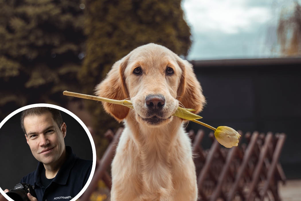 Tierportraits mit Christian Laxander | Fototage Livestream