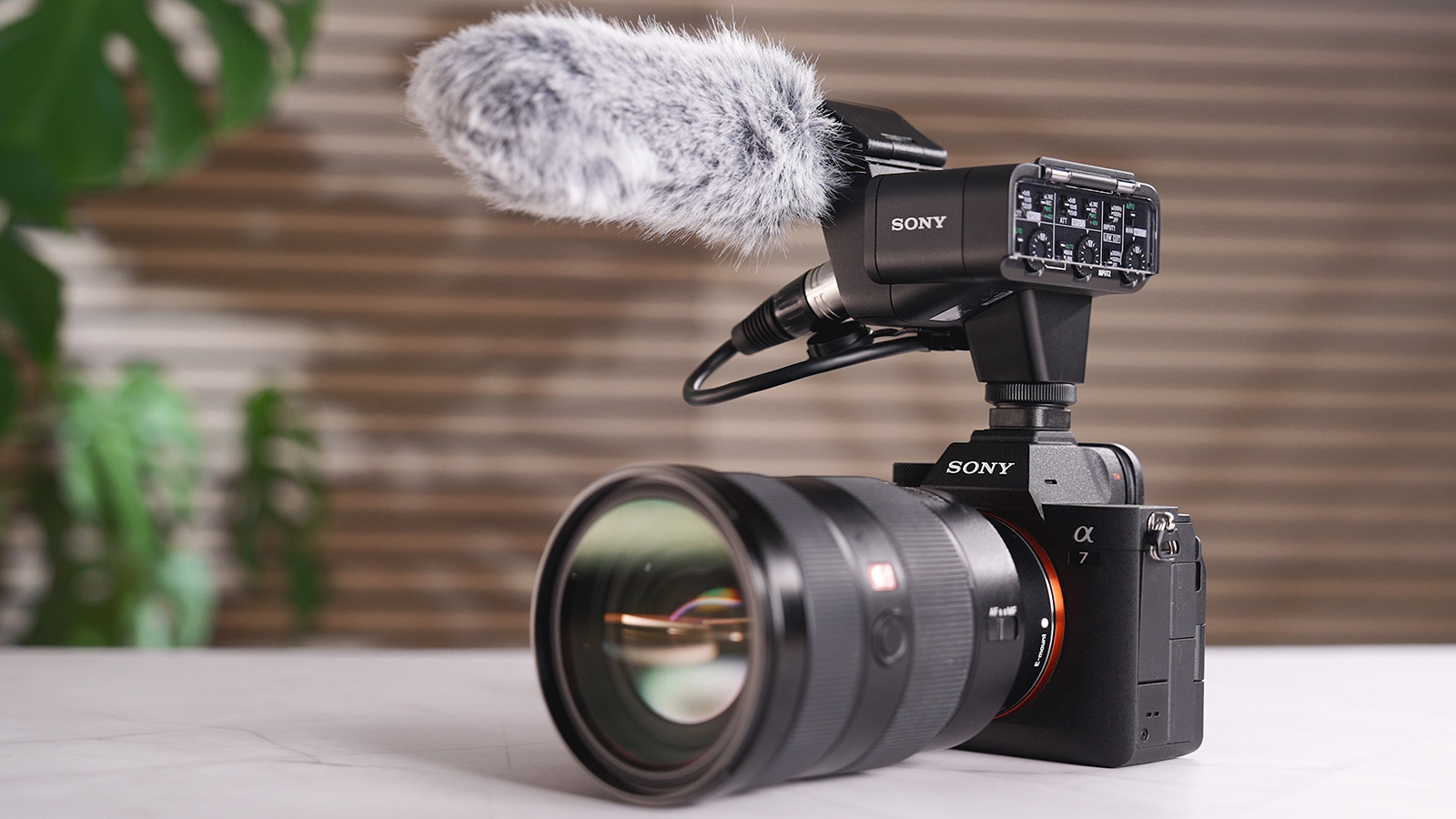 Sony XLR-K3M - Foto Koch 