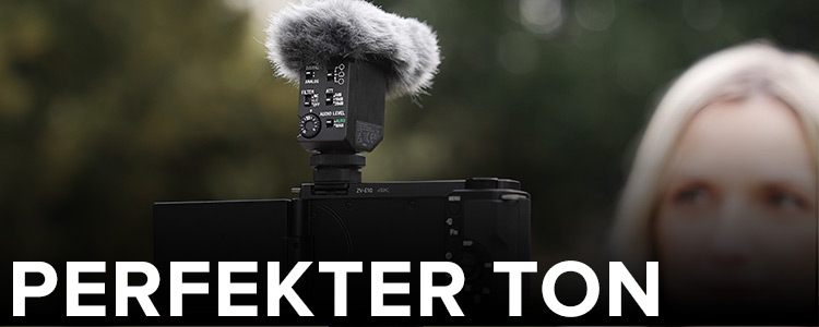 Perfekter Ton mit Sony - Foto Koch