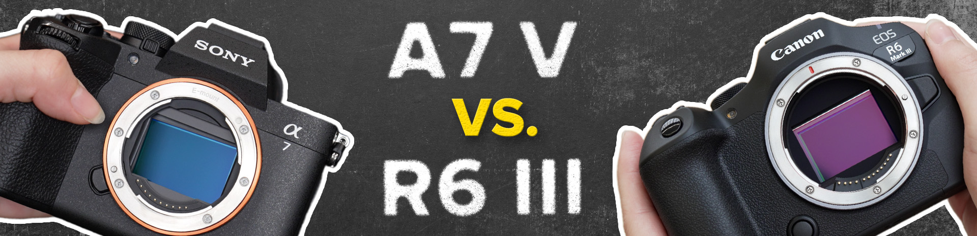 Sony Alpha 7 V vs. Canon EOS R6 III Vergleich Foto Koch Header Sony Alpha 7 V vs. Canon EOS R6 III Vergleich Foto Koch Header