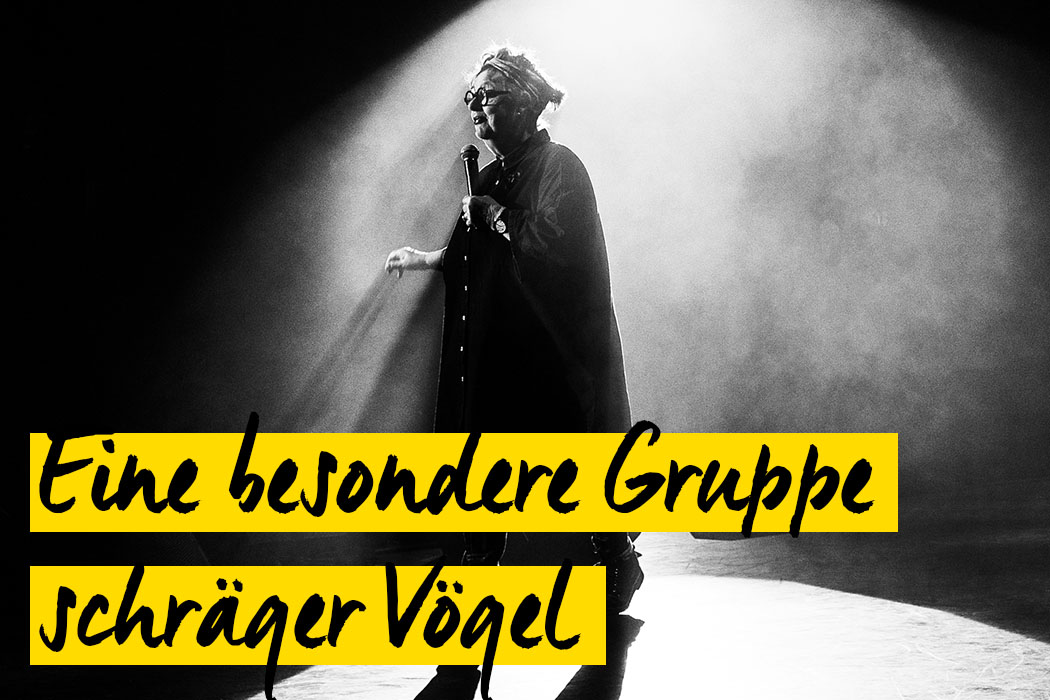 Steve Best - Eine besondere Gruppe schräger Vögel