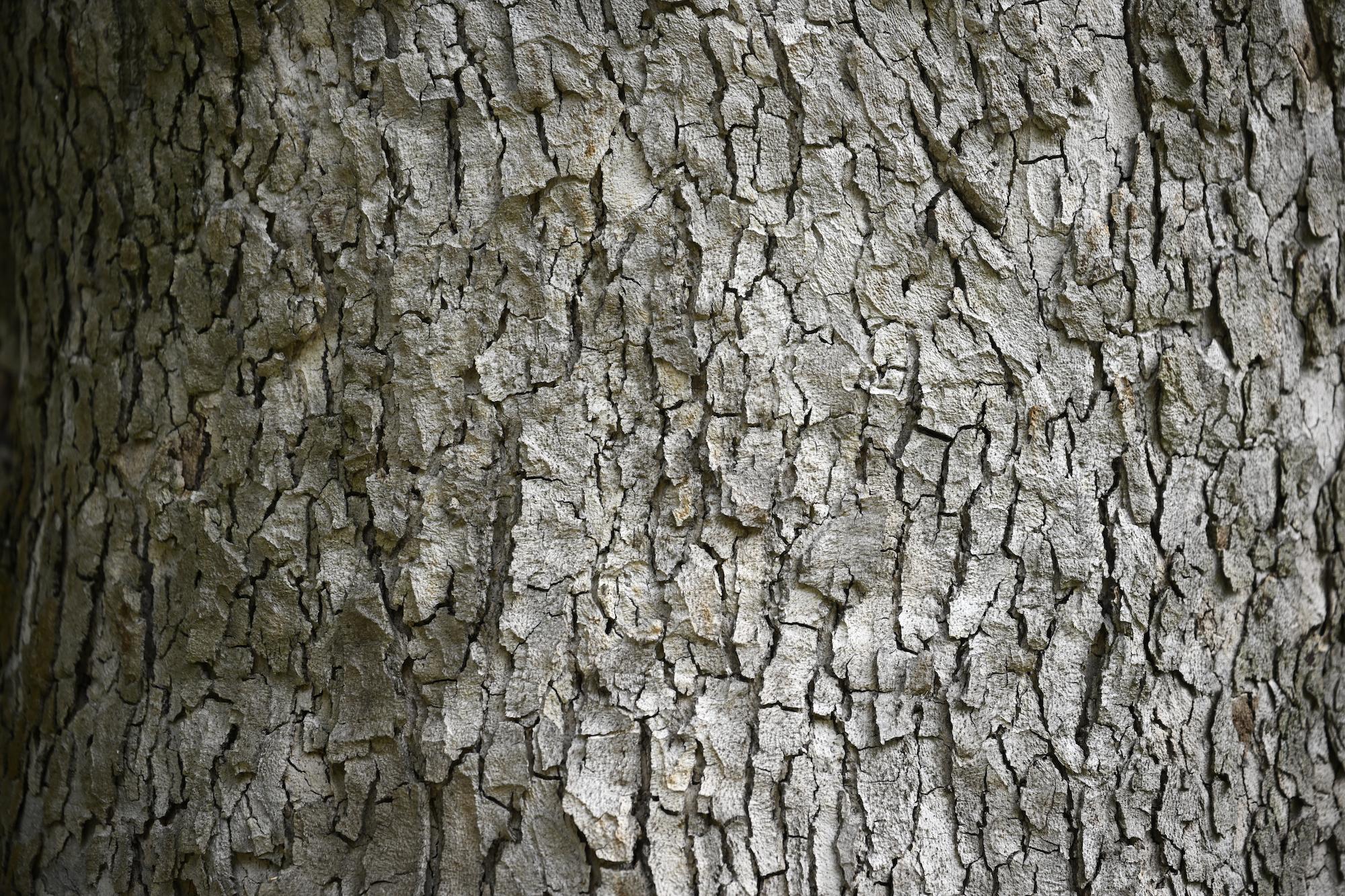 SchÃ¤rfe des 35-150 bei 150mm