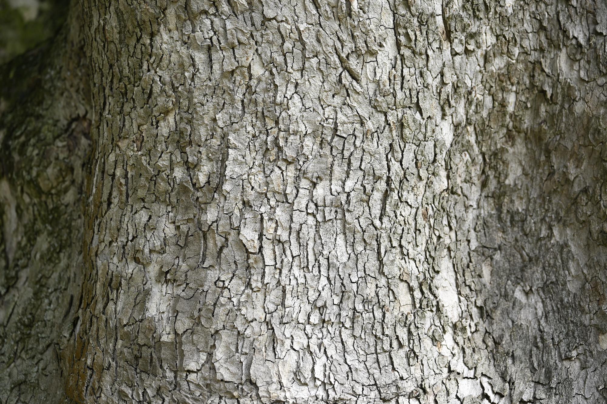 SchÃ¤rfe des 35-150 bei 85mm