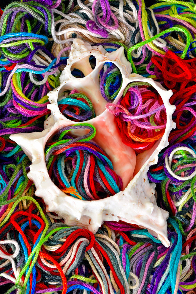 Beispielbild Tamron SP 90 mm