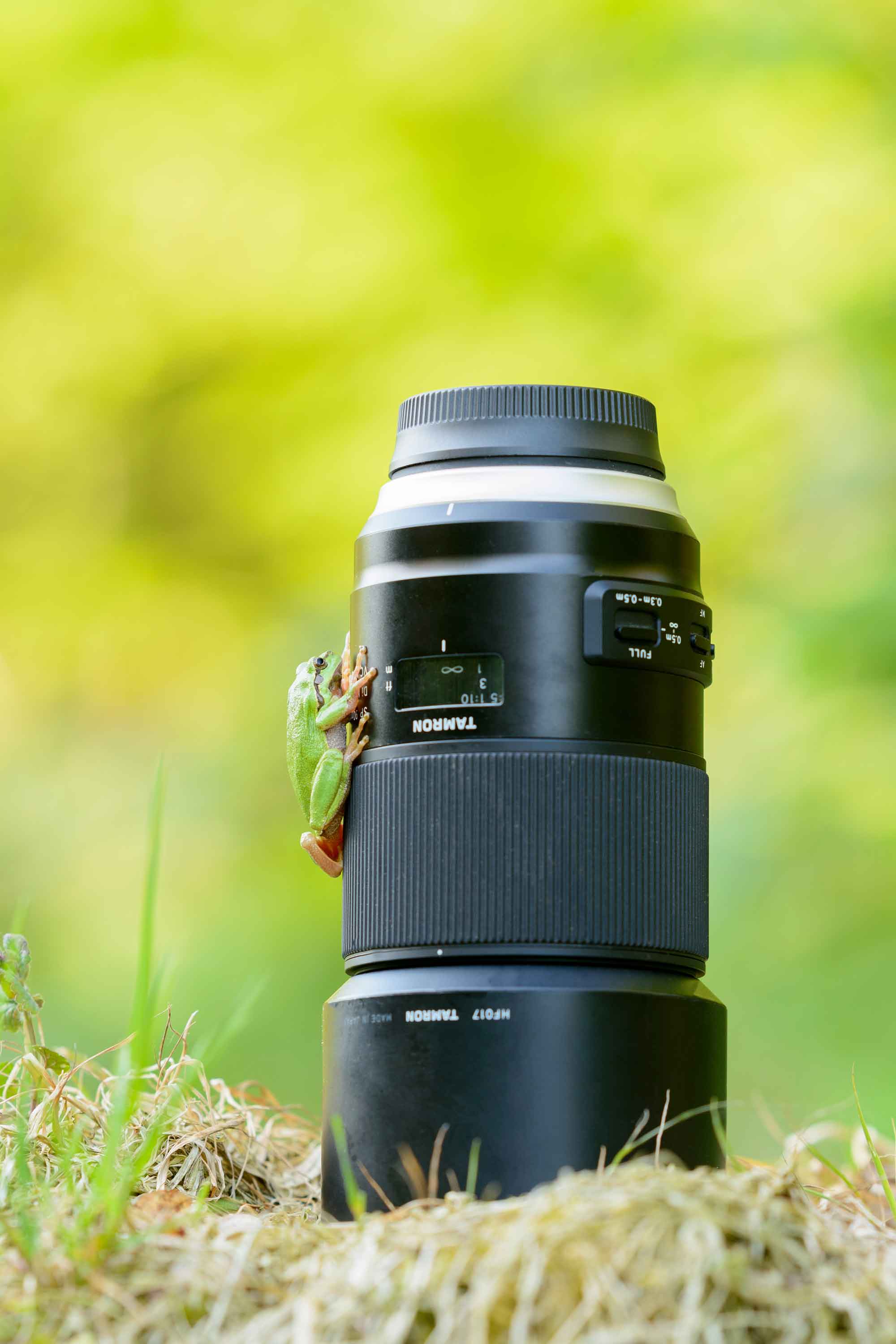 Tamron 85mm und 90mm Festbrennweite