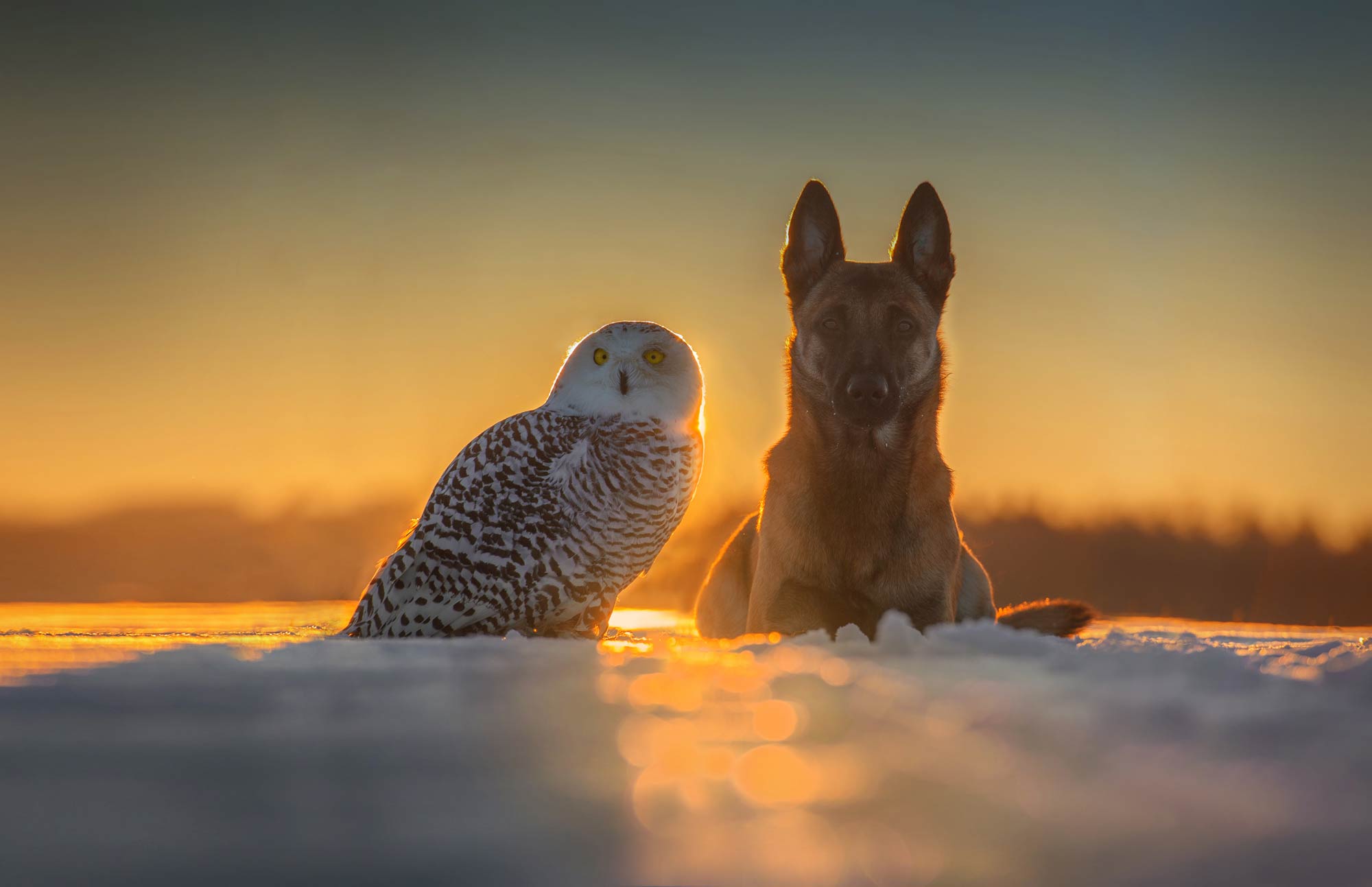 Tanja Brandt - Nikon Z6