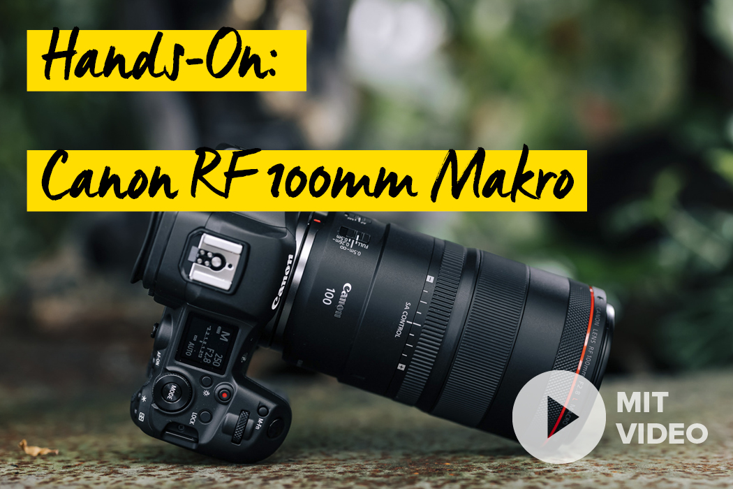 Canon RF 100mm Makro