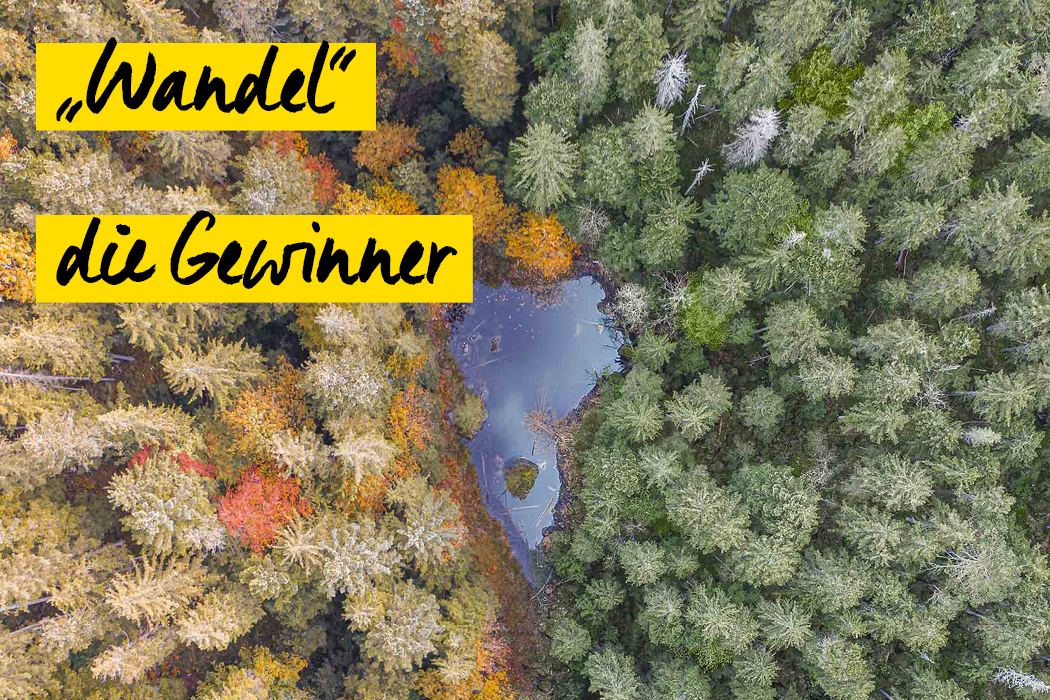 Fotowettbewerb Wandel Gewinner 