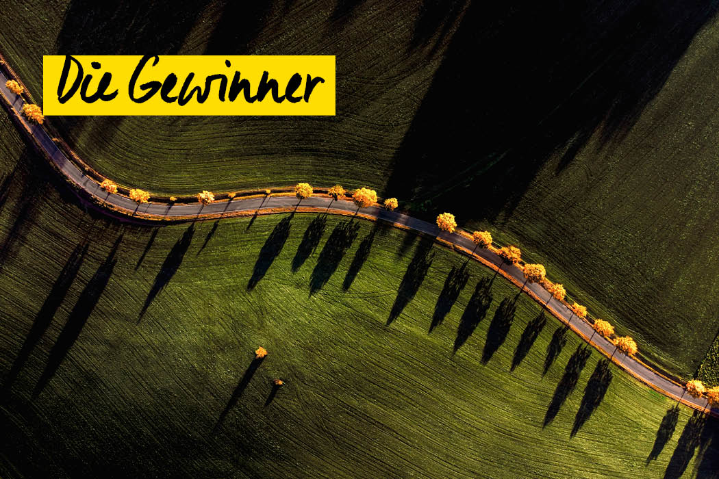 Challenge Gewinner 2021