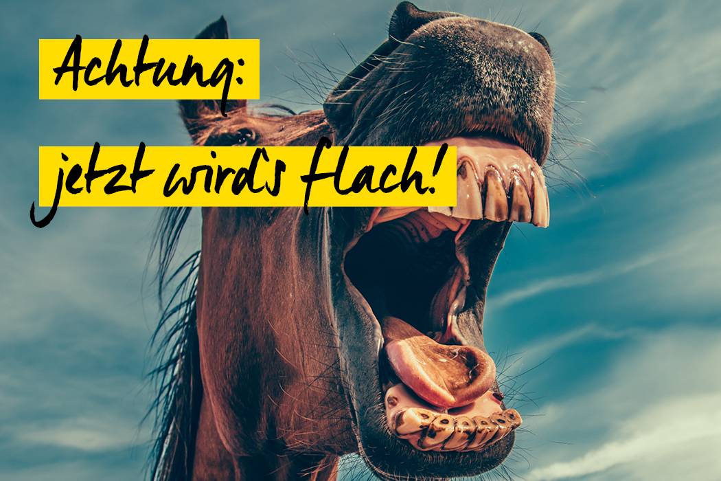 witzeseite schnappschuss 67