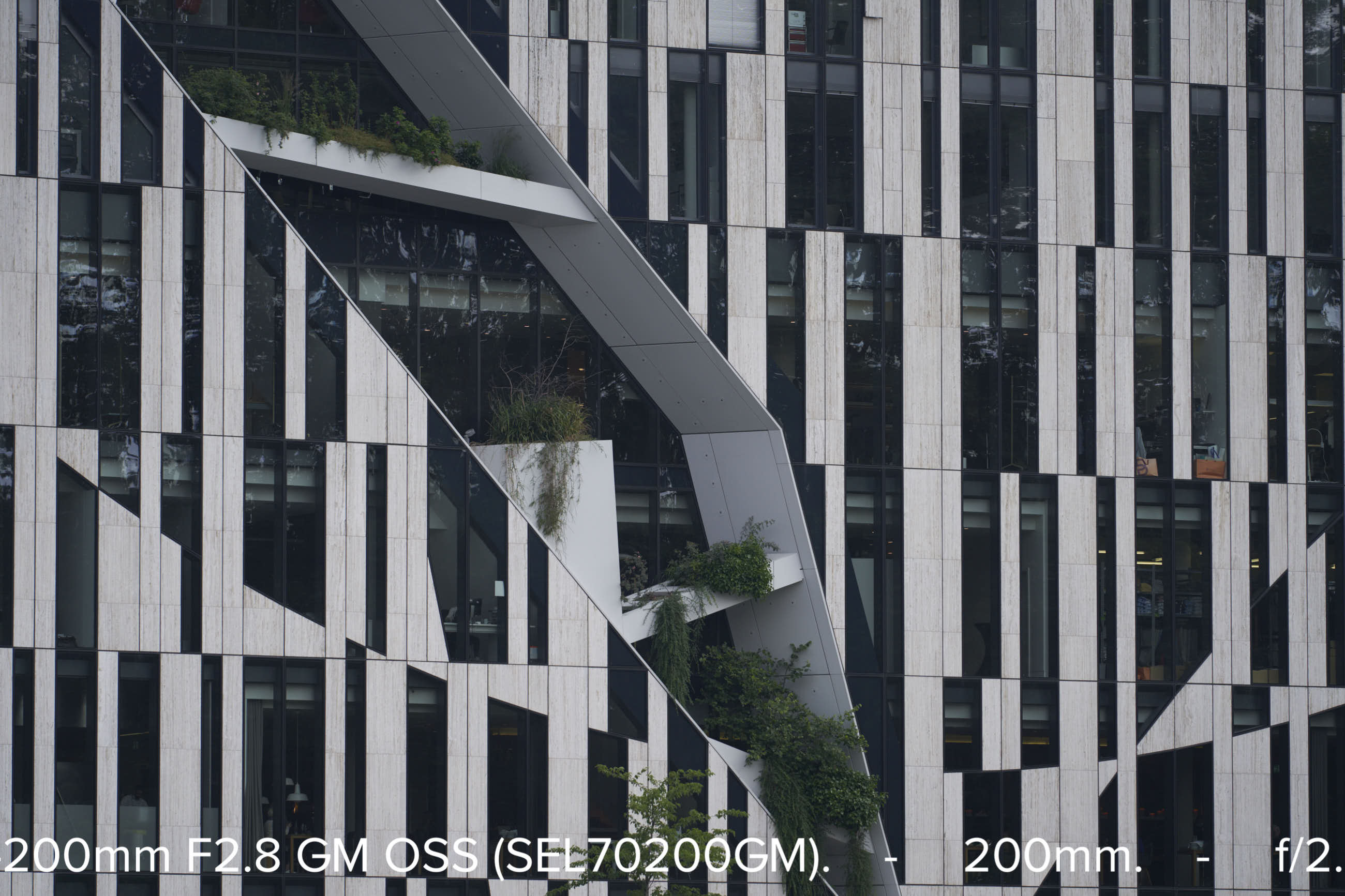 Sony GM 70-200 f2.8 bei 200mm