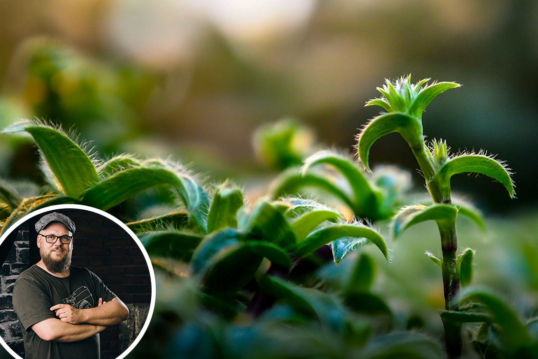 Die vielfältige Welt der Makrofotografie (Thomas Adorff)