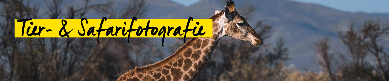 Tamron Lens Utility vorstellung Tamron Lens Utility vorstellung