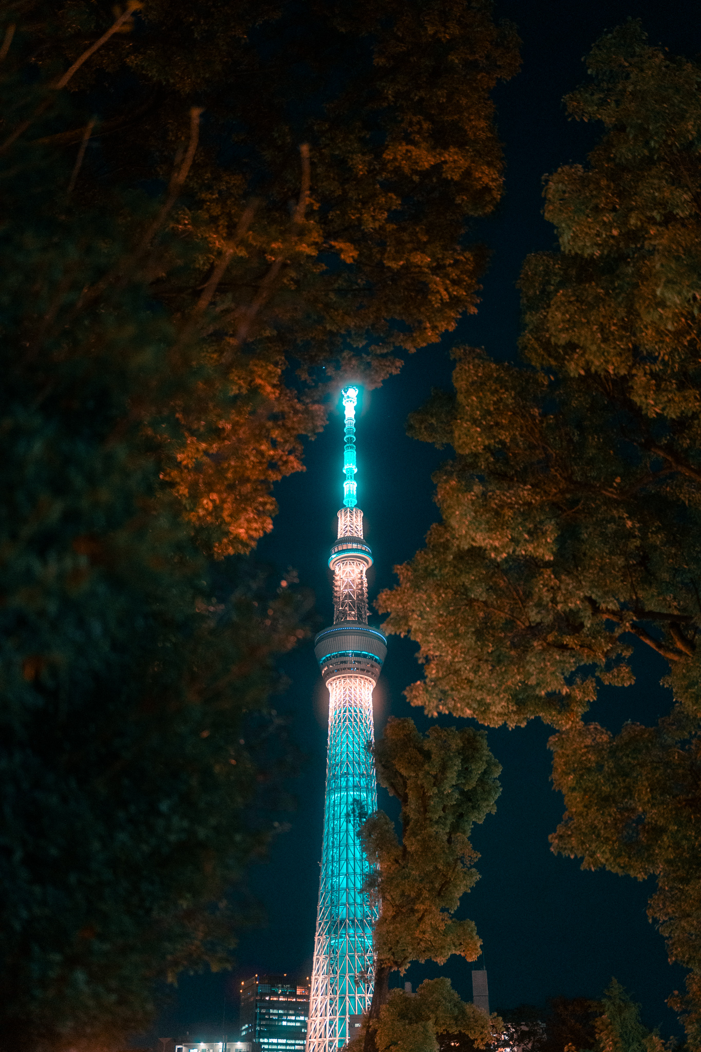 Tokyo Skytree aufgenommen mit dem Sigma Art 35mm f1,2