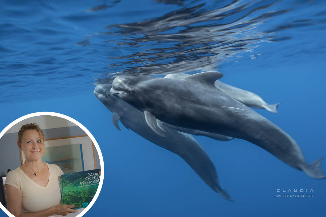 Faszination Unterwasserfotografie