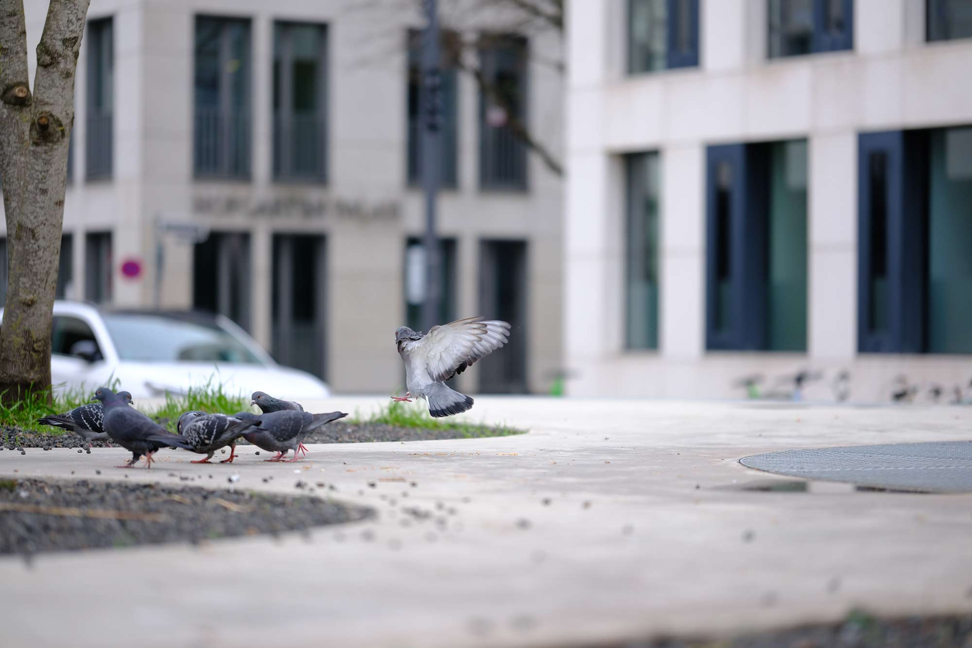 Viltrox 75mm f/1.2 - Beispielbild