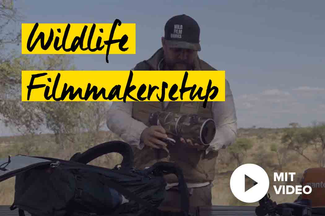 Wildlife Filmmaking / Videografie Ausrüstung